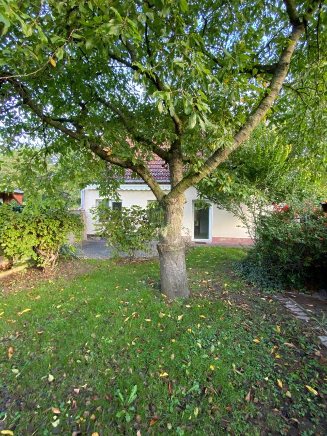 Ferienhaus Spreewald Luckau Exterior foto